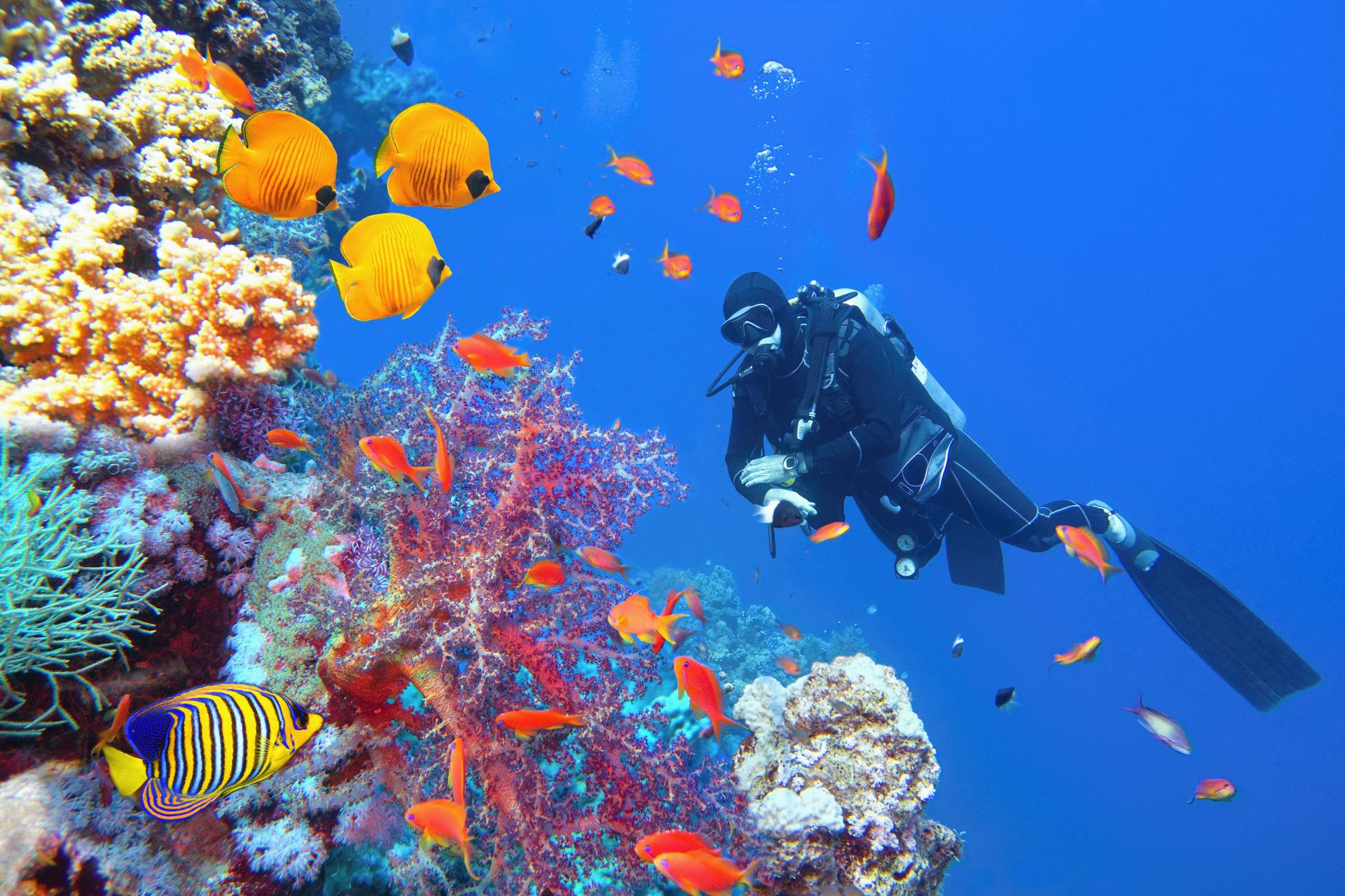 Scuba diver near beautiful coral reef surrounded with shoal of colorful coral fish and butterfly fish